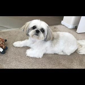 Meet your Posher, Vanessa